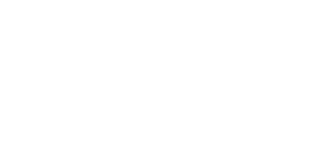 pikabula_studios_logo_s_negative
